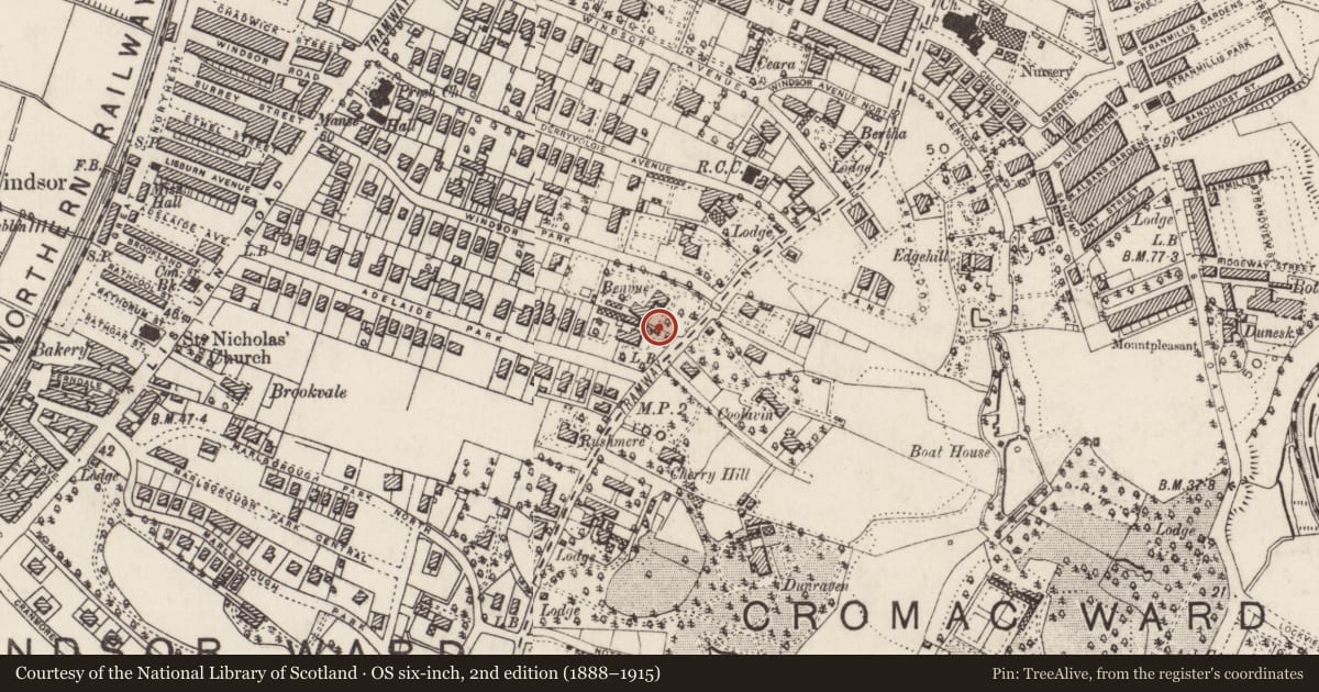 Ordnance Survey six-inch map, 2nd edition (1888–1915) covering the location of The Former Chapel At Aquinas Hall, Belfast, with a pin at the register's coordinates