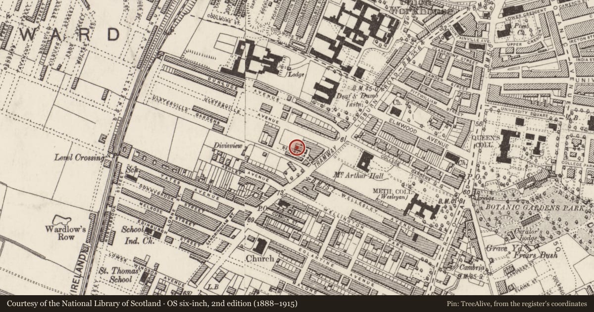 Ordnance Survey six-inch map, 2nd edition (1888–1915) covering the location of 11 Belgravia Avenue, Belfast, with a pin at the register's coordinates