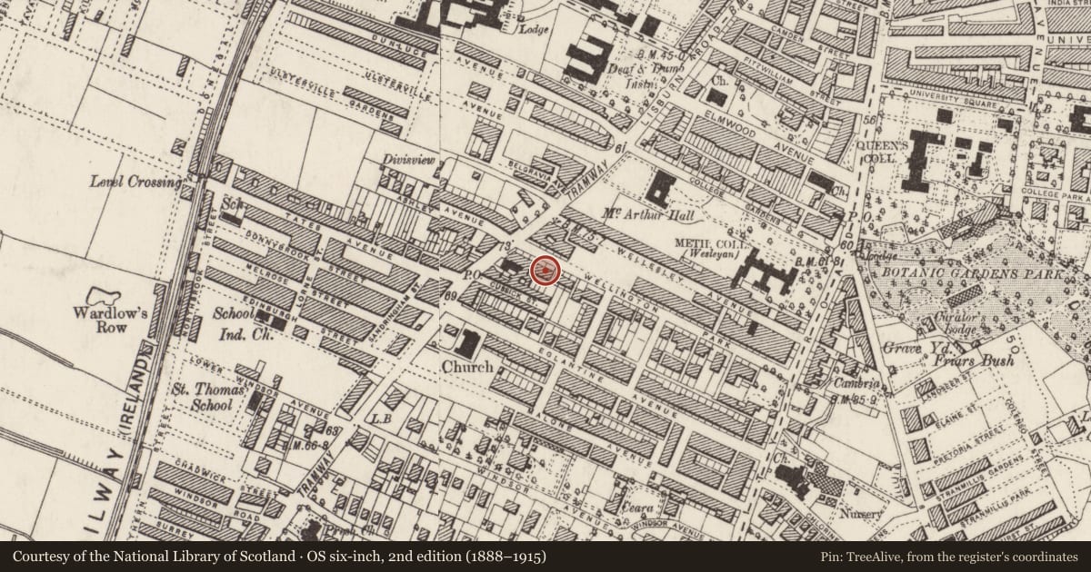 Ordnance Survey six-inch map, 2nd edition (1888–1915) covering the location of 60-64 Wellington Park Belfast BT9 6DP ** See General Comments **, Malone Lower, Belfast, with a pin at the register's coordinates