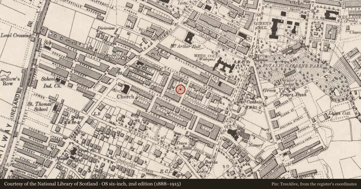 Ordnance Survey six-inch map, 2nd edition (1888–1915) covering the location of Wellington Park Terrace, Belfast, with a pin at the register's coordinates