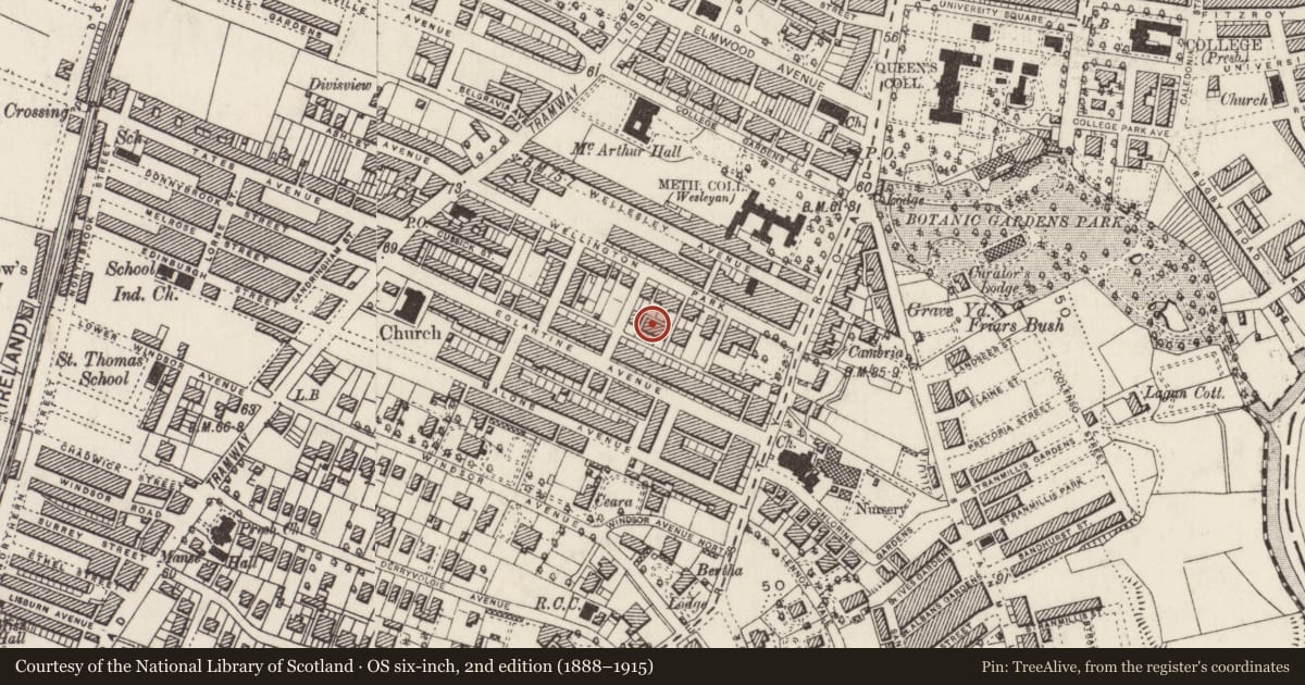 Ordnance Survey six-inch map, 2nd edition (1888–1915) covering the location of 13 Wellington Park Terrace, Malone, Belfast, with a pin at the register's coordinates