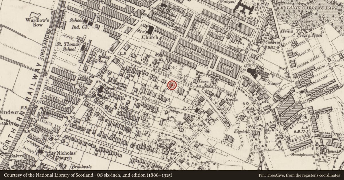 Ordnance Survey six-inch map, 2nd edition (1888–1915) covering the location of 31 Windsor Avenue Belfast BT9 6EJ ** See General Comments **, Malone Lower, Belfast, with a pin at the register's coordinates