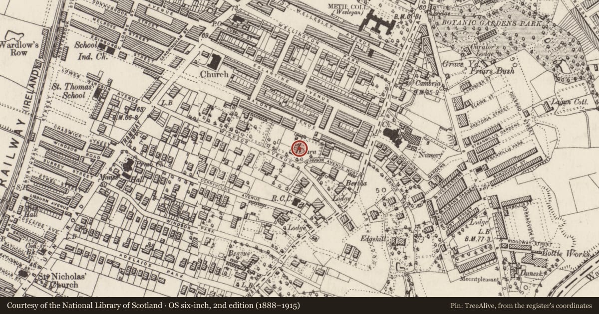 Ordnance Survey six-inch map, 2nd edition (1888–1915) covering the location of Ceara House, Belfast, with a pin at the register's coordinates