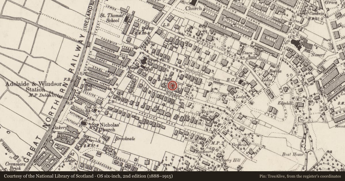 Ordnance Survey six-inch map, 2nd edition (1888–1915) covering the location of 28 Windsor Park, Malone Lower, Belfast, with a pin at the register's coordinates