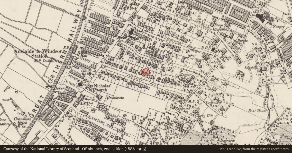 Ordnance Survey six-inch map, 2nd edition (1888–1915) covering the location of 22 Adelaide Park, Belfast, with a pin at the register's coordinates