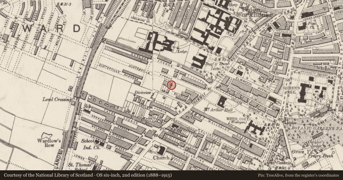 Ordnance Survey six-inch map, 2nd edition (1888–1915) covering the location of 40 Ulsterville Avenue, Belfast, with a pin at the register's coordinates