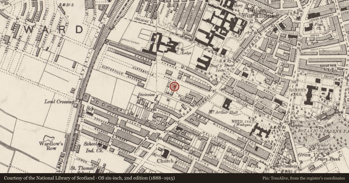Ordnance Survey six-inch map, 2nd edition (1888–1915) covering the location of 42 Ulsterville Avenue, Belfast, with a pin at the register's coordinates