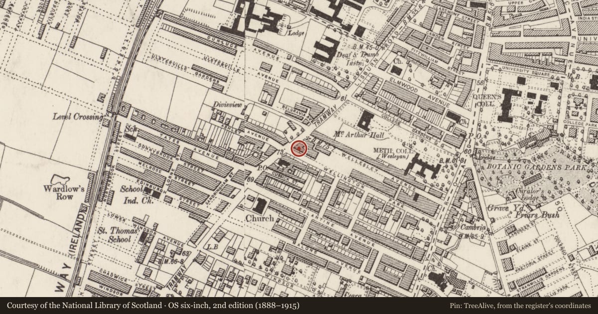 Ordnance Survey six-inch map, 2nd edition (1888–1915) covering the location of 91 Wellington Park, Belfast, with a pin at the register's coordinates