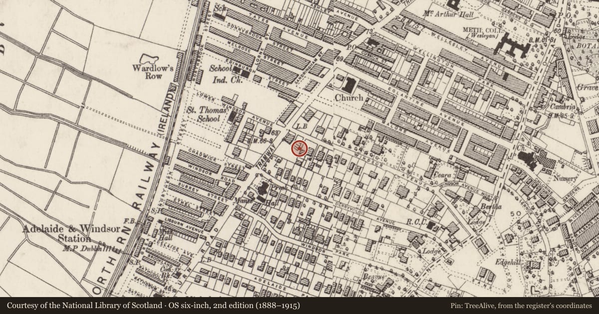 Ordnance Survey six-inch map, 2nd edition (1888–1915) covering the location of 3-5 Windsor Avenue, with a pin at the register's coordinates