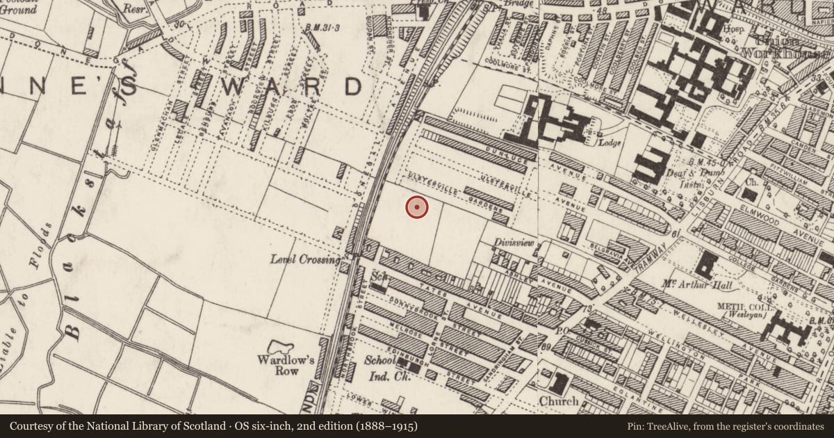 Ordnance Survey six-inch map, 2nd edition (1888–1915) covering the location of Fane St.primary School, Belfast, with a pin at the register's coordinates