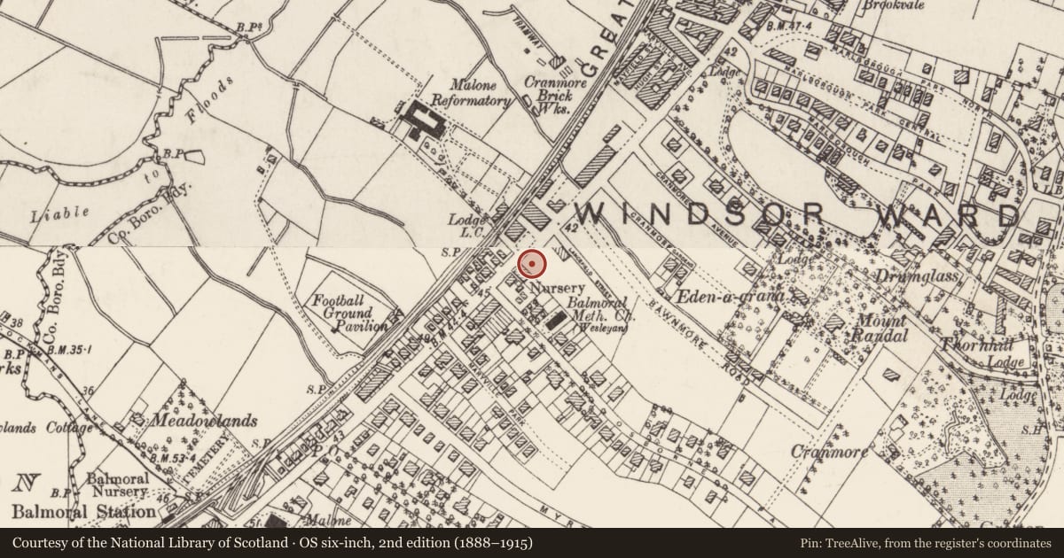 Ordnance Survey six-inch map, 2nd edition (1888–1915) covering the location of 384-396 Lisburn Road, Belfast, with a pin at the register's coordinates
