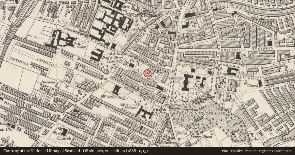 Ordnance Survey six-inch map, 2nd edition (1888–1915) covering the location of Department Of Geography, Belfast, with a pin at the register's coordinates