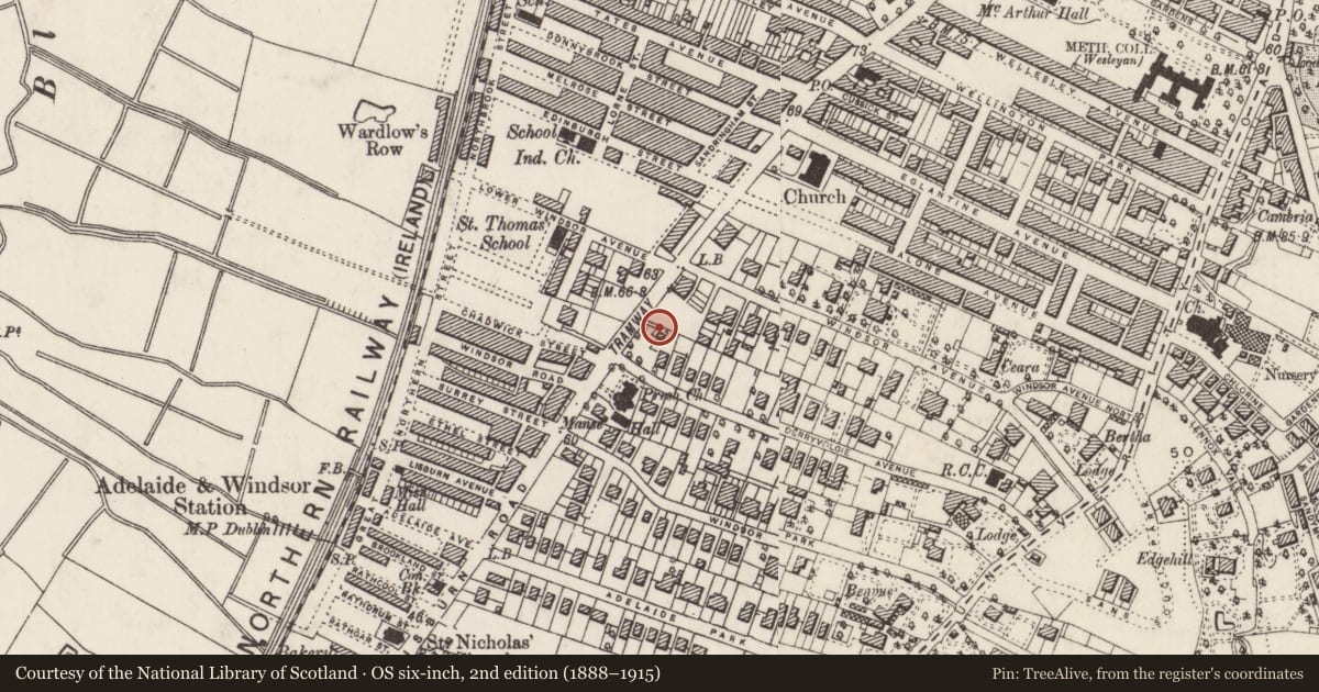 Ordnance Survey six-inch map, 2nd edition (1888–1915) covering the location of Majestic Buildings, Belfast, with a pin at the register's coordinates