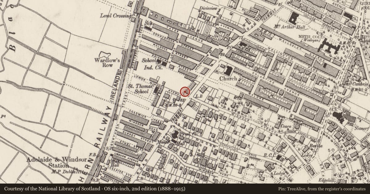 Ordnance Survey six-inch map, 2nd edition (1888–1915) covering the location of 249 Lisburn Road, with a pin at the register's coordinates