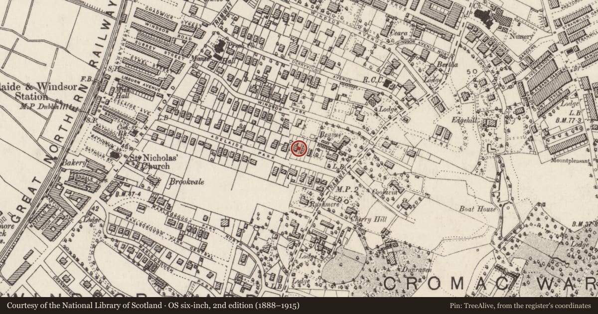 Ordnance Survey six-inch map, 2nd edition (1888–1915) covering the location of 36 Adelaide Park, with a pin at the register's coordinates