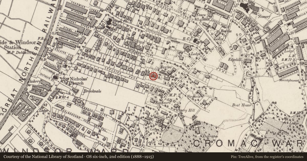 Ordnance Survey six-inch map, 2nd edition (1888–1915) covering the location of 38-40 Adelaide Park, with a pin at the register's coordinates
