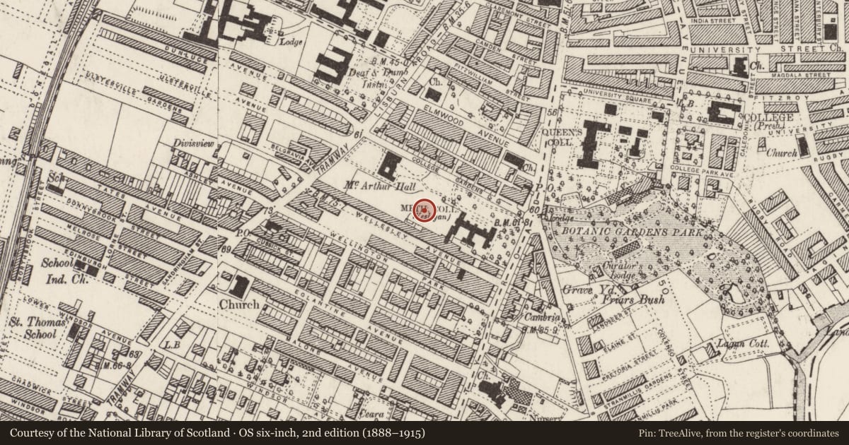 Ordnance Survey six-inch map, 2nd edition (1888–1915) covering the location of Red Brick Building S Of Whitla Hall, with a pin at the register's coordinates