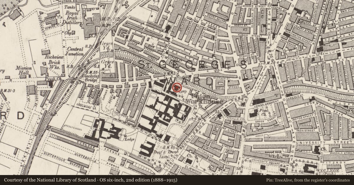 Ordnance Survey six-inch map, 2nd edition (1888–1915) covering the location of Gardner Robb building, Malone Lower, with a pin at the register's coordinates