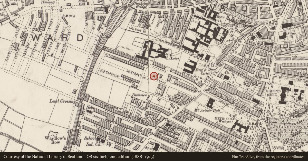 Ordnance Survey six-inch map, 2nd edition (1888–1915) covering the location of Post Box, Malone lower, Belfast, with a pin at the register's coordinates