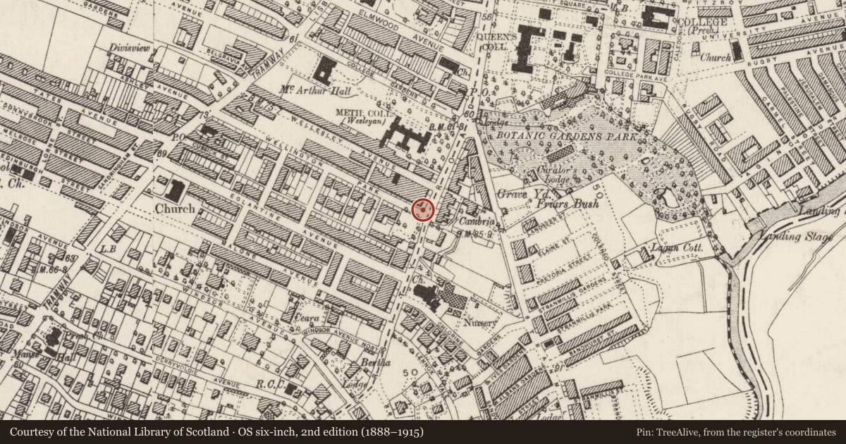Ordnance Survey six-inch map, 2nd edition (1888–1915) covering the location of Electrical service/section pillar at east end of Wellington Park, Belfast, BT9 6RT, Malone Lower, Belfast, with a pin at the register's coordinates