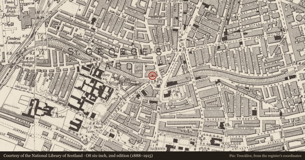 Ordnance Survey six-inch map, 2nd edition (1888–1915) covering the location of 13 Malone Place, Malone Lower, Belfast, with a pin at the register's coordinates