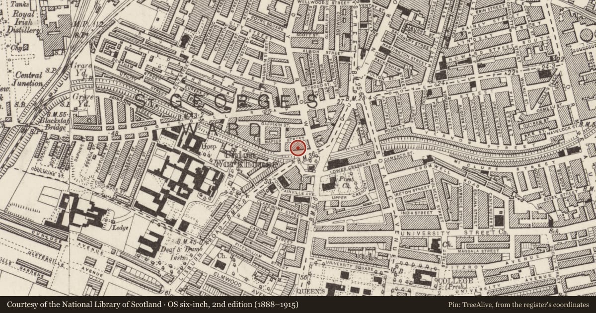 Ordnance Survey six-inch map, 2nd edition (1888–1915) covering the location of 15 Malone Place, Malone Lower, Belfast, with a pin at the register's coordinates