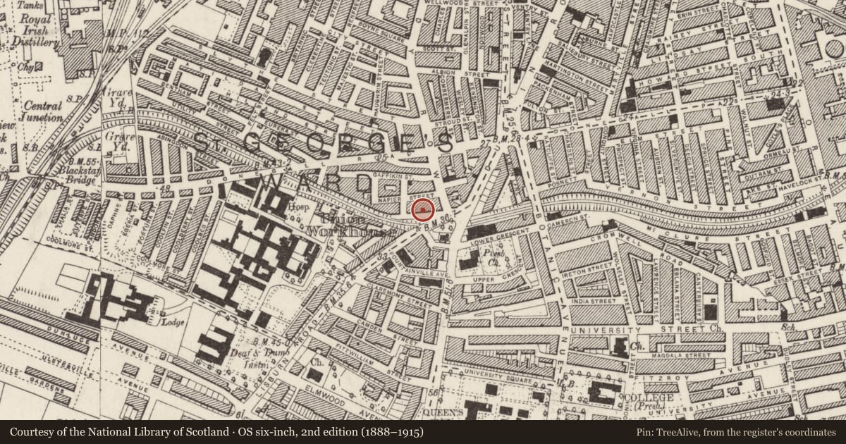 Ordnance Survey six-inch map, 2nd edition (1888–1915) covering the location of 17 Malone Place, Malone Lower, Belfast, with a pin at the register's coordinates