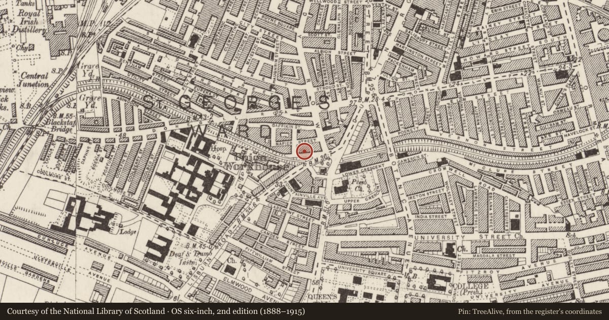 Ordnance Survey six-inch map, 2nd edition (1888–1915) covering the location of 21 Malone Place, Malone Lower, Belfast, with a pin at the register's coordinates