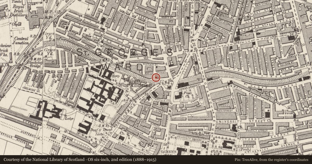 Ordnance Survey six-inch map, 2nd edition (1888–1915) covering the location of 29 Malone Place, Malone Lower, Belfast, with a pin at the register's coordinates