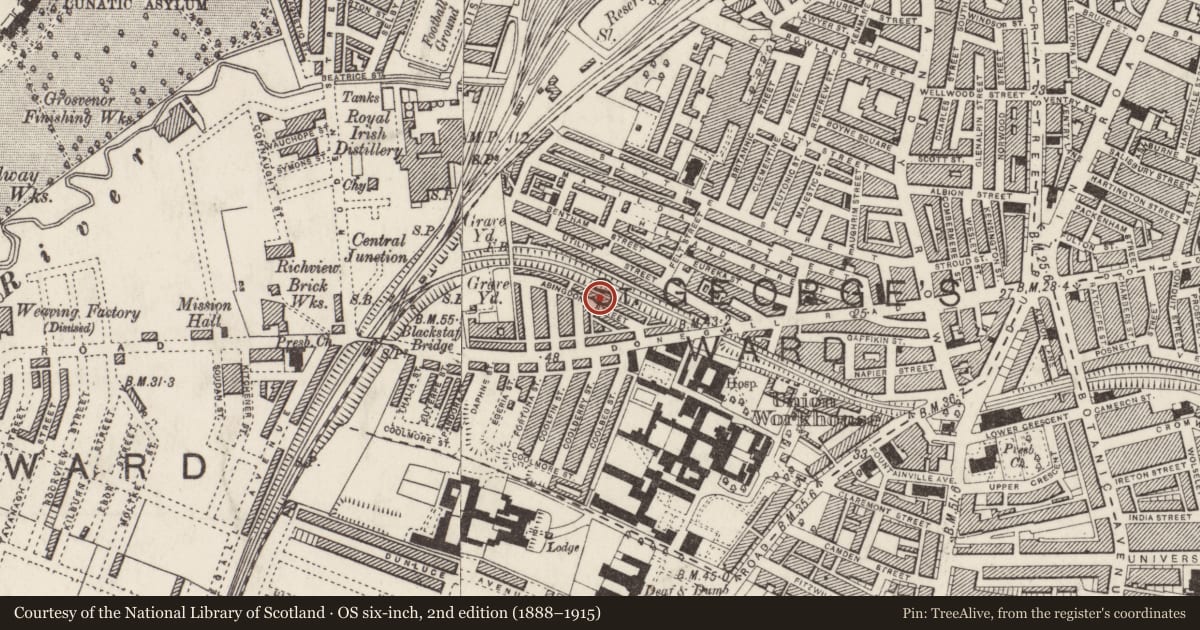 Ordnance Survey six-inch map, 2nd edition (1888–1915) covering the location of 29-51 Abingdon Street, Belfast, with a pin at the register's coordinates
