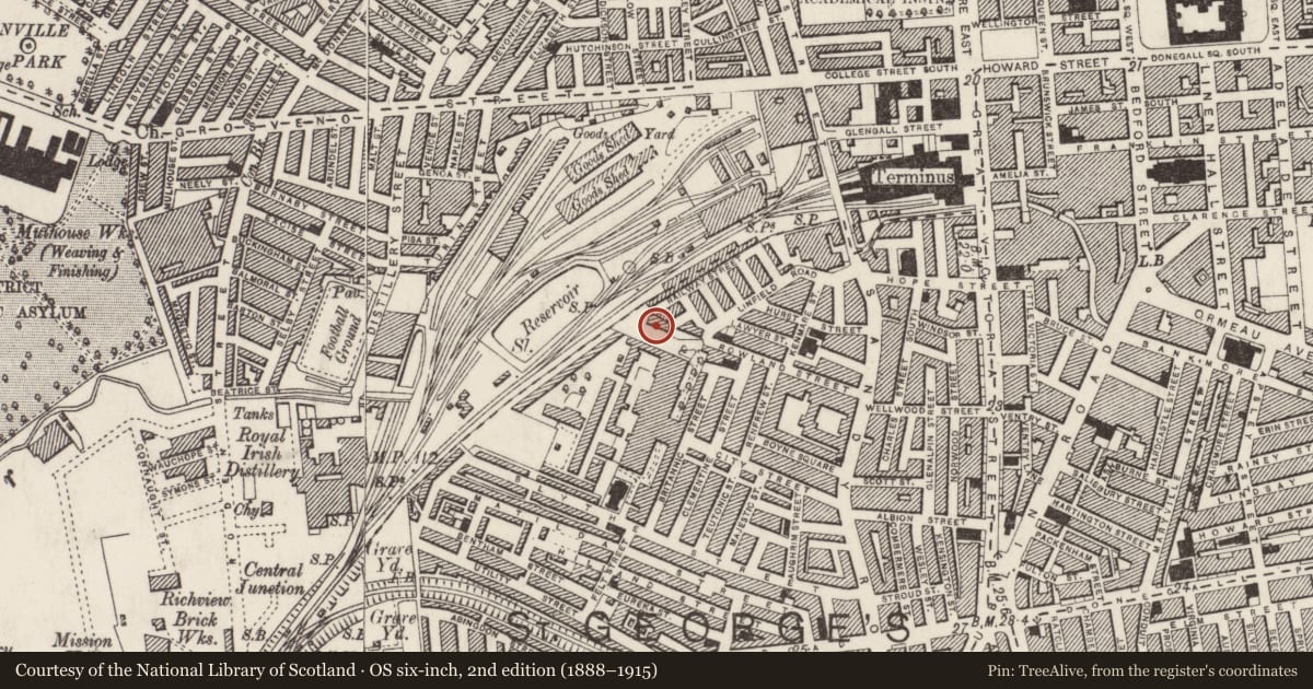 Ordnance Survey six-inch map, 2nd edition (1888–1915) covering the location of Former Bellow Machine Company, Belfast, with a pin at the register's coordinates