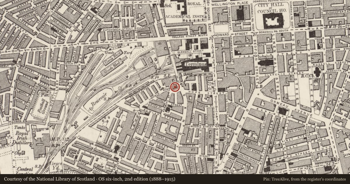 Ordnance Survey six-inch map, 2nd edition (1888–1915) covering the location of Whitehall Tobacco Works, Malone Lower Town Parks, Belfast, with a pin at the register's coordinates