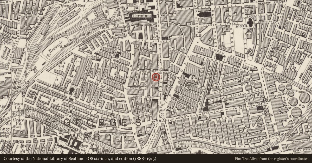 Ordnance Survey six-inch map, 2nd edition (1888–1915) covering the location of 89-95 Great Victoria Street, Belfast, with a pin at the register's coordinates