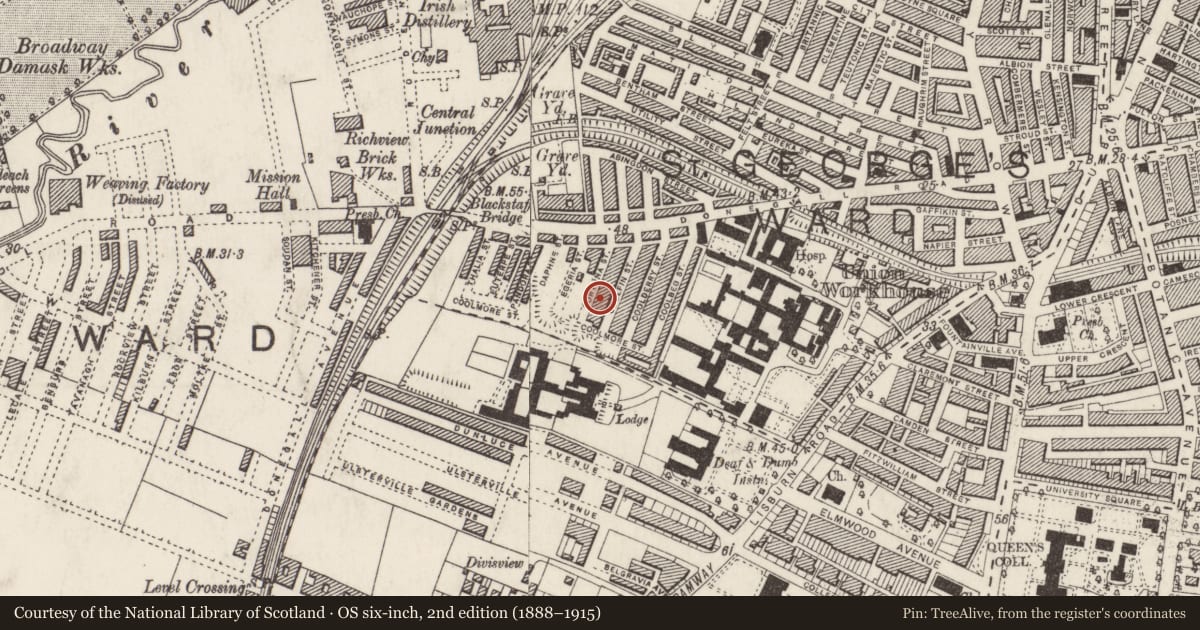 Ordnance Survey six-inch map, 2nd edition (1888–1915) covering the location of Coolfin Street, Fortuna Street, Egeria Street, Daphne Street, Pandora Street, Euterpe Street, Thalia Street, Coolmore Street, Belfast, with a pin at the register's coordinates
