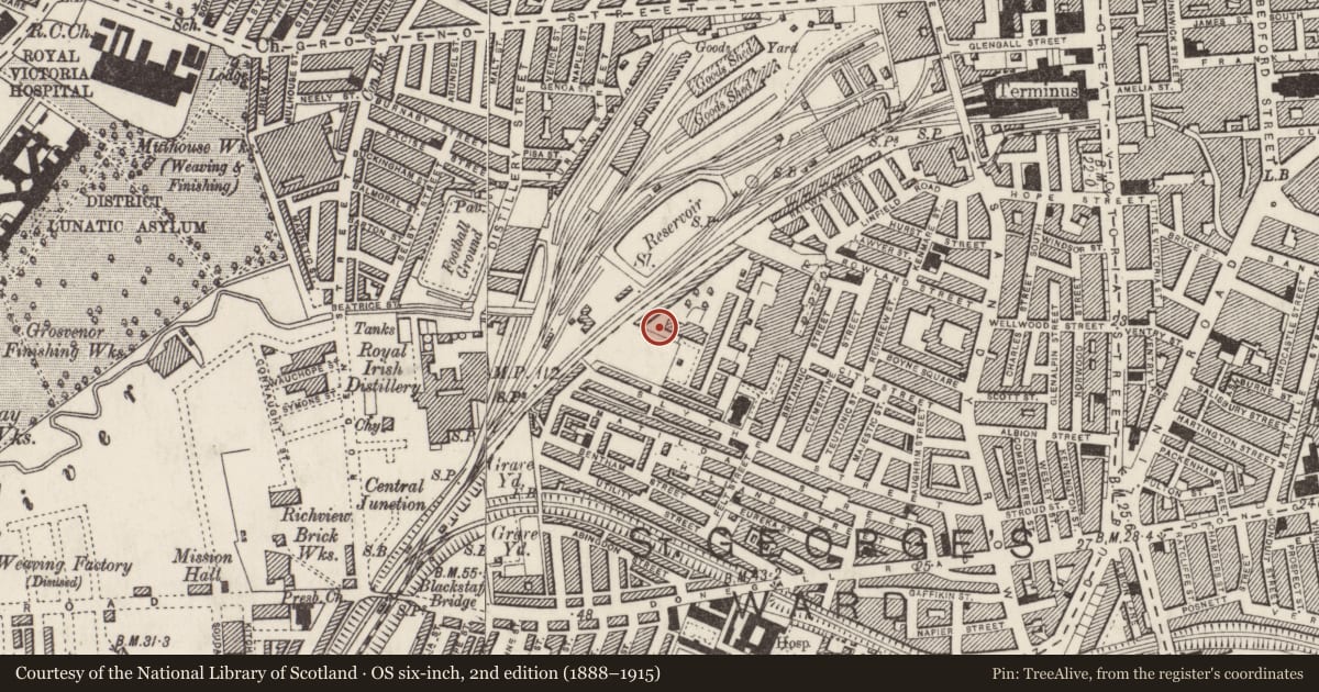 Ordnance Survey six-inch map, 2nd edition (1888–1915) covering the location of Office/warehouse ('United Paper Merchants Ltd.'), Belfast Town Parks, Belfast, with a pin at the register's coordinates