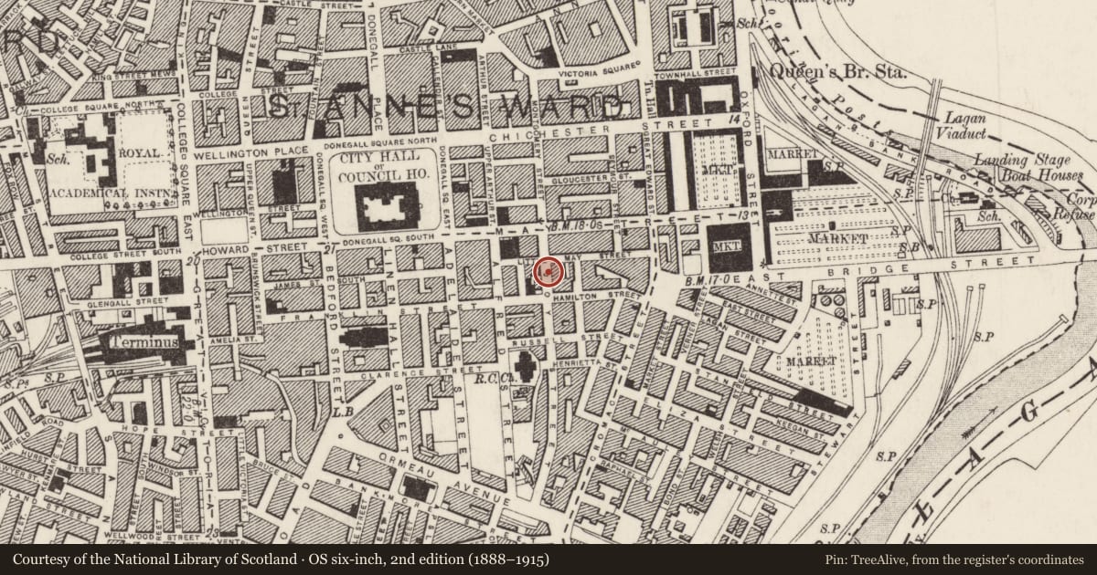 Ordnance Survey six-inch map, 2nd edition (1888–1915) covering the location of 20 Joy Street, Town Parks, Belfast, with a pin at the register's coordinates