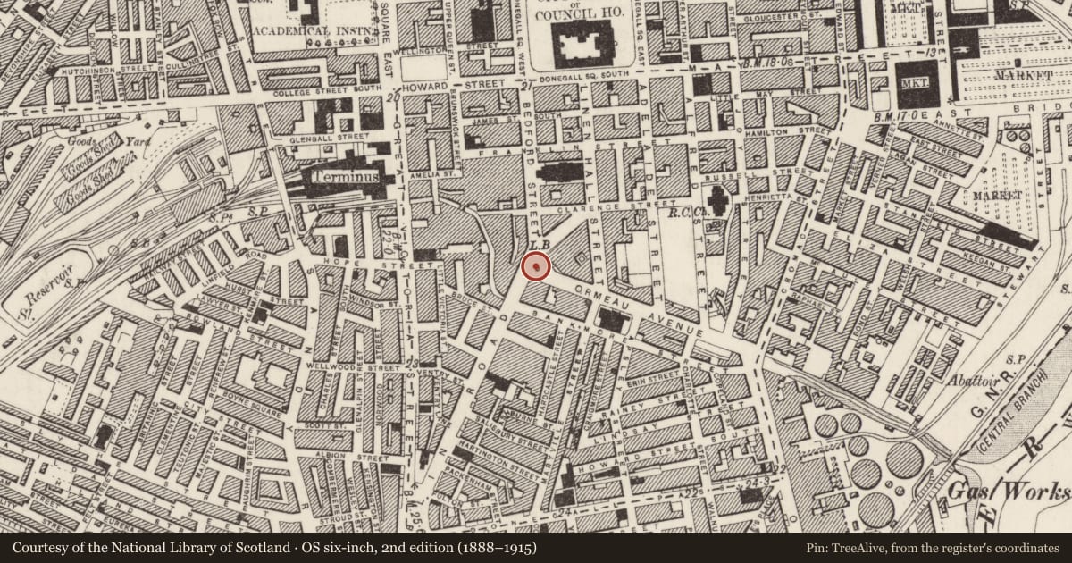 Ordnance Survey six-inch map, 2nd edition (1888–1915) covering the location of The Thompson Memorial Fountain, Town Parks, Belfast, with a pin at the register's coordinates