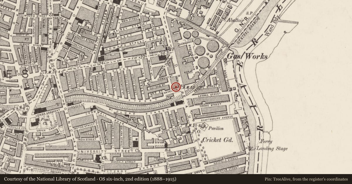 Ordnance Survey six-inch map, 2nd edition (1888–1915) covering the location of Havelock House, Belfast, with a pin at the register's coordinates
