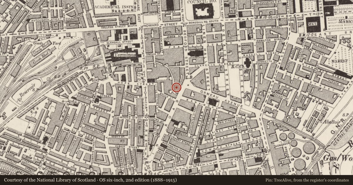 Ordnance Survey six-inch map, 2nd edition (1888–1915) covering the location of Wetherspoons, Town Parks, Belfast, with a pin at the register's coordinates