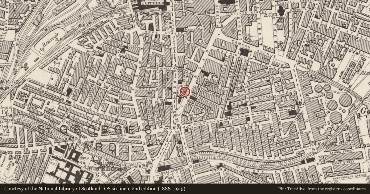 Ordnance Survey six-inch map, 2nd edition (1888–1915) covering the location of 73-85 Dublin Road, Belfast, with a pin at the register's coordinates