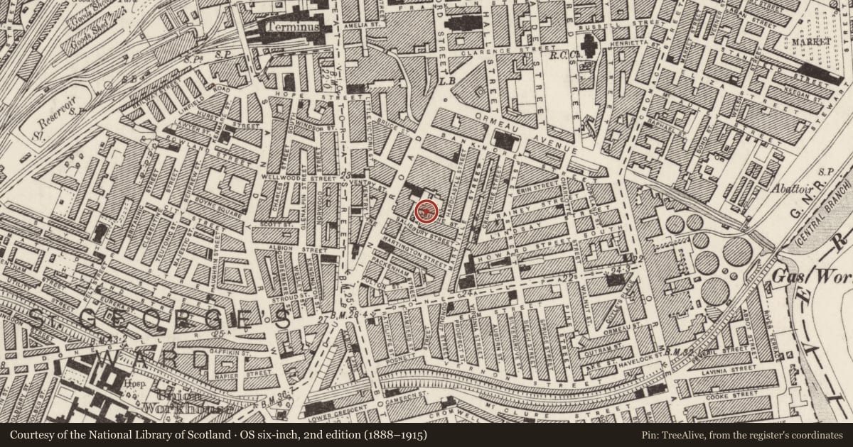 Ordnance Survey six-inch map, 2nd edition (1888–1915) covering the location of 12-36 Ashborne Street, Belfast, with a pin at the register's coordinates