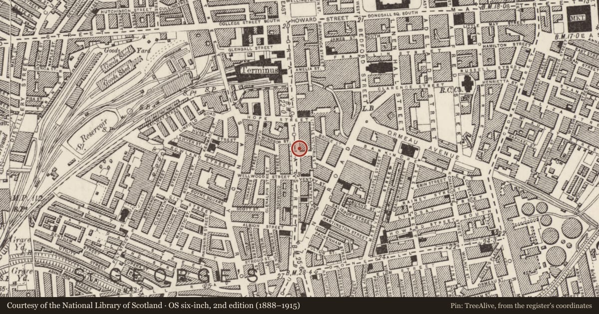 Ordnance Survey six-inch map, 2nd edition (1888–1915) covering the location of 90-94 Great Victoria Street, Belfast, with a pin at the register's coordinates