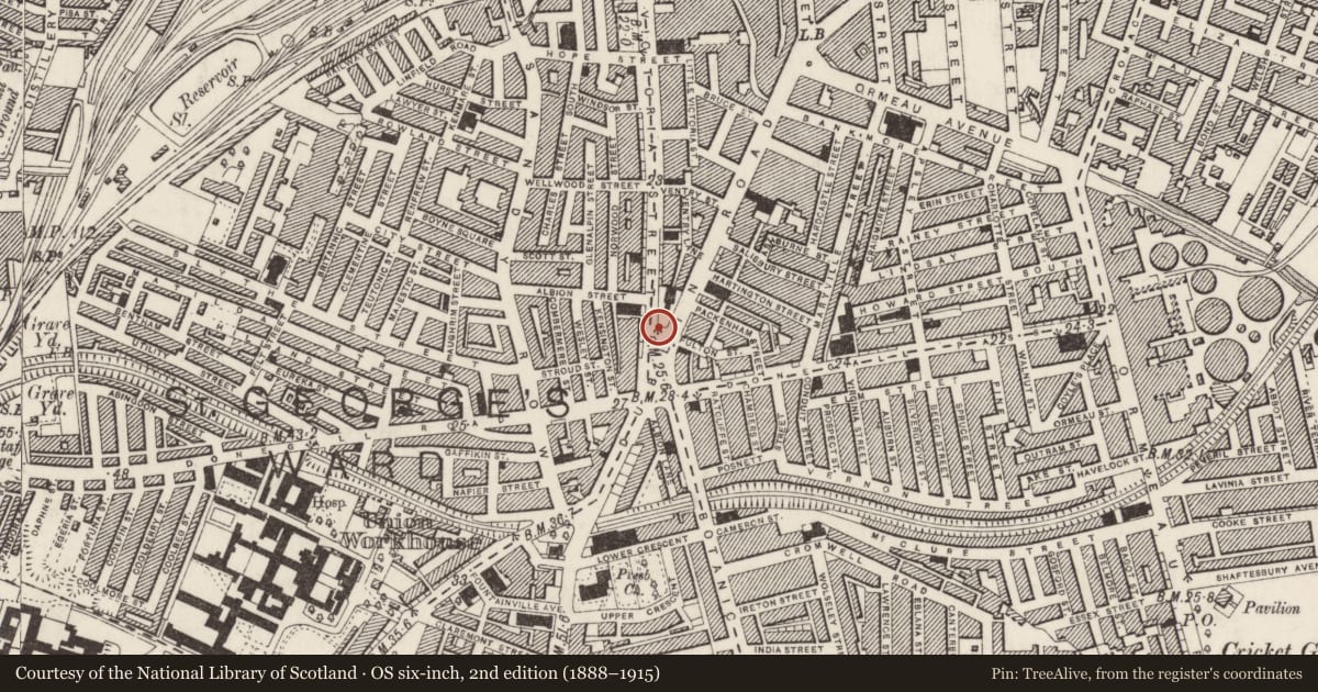 Ordnance Survey six-inch map, 2nd edition (1888–1915) covering the location of Toilet Entrances, Malone Lower, Belfast, with a pin at the register's coordinates
