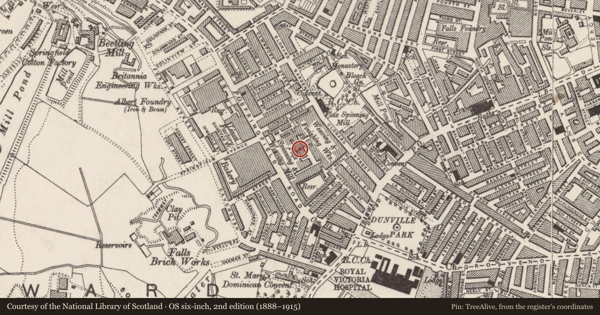 Ordnance Survey six-inch map, 2nd edition (1888–1915) covering the location of Blackstaff Mill, Edenderry, Belfast, with a pin at the register's coordinates