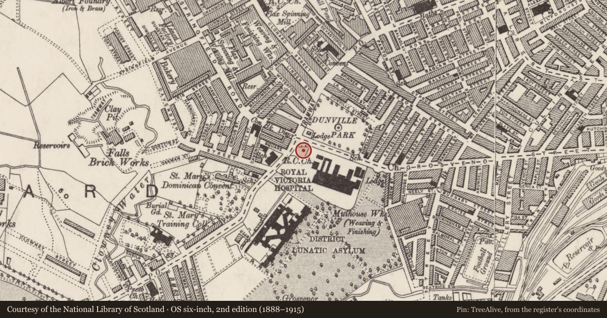 Ordnance Survey six-inch map, 2nd edition (1888–1915) covering the location of King Edward Vii Buildings, Town Parks, Belfast, with a pin at the register's coordinates