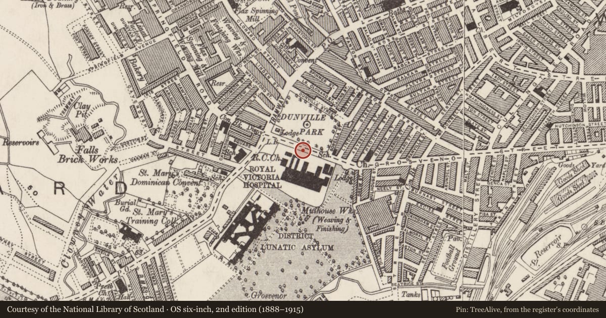 Ordnance Survey six-inch map, 2nd edition (1888–1915) covering the location of The Perimeter Wall, Gates and Lodges (along Grosvenor Road), Town Parks, Belfast, with a pin at the register's coordinates