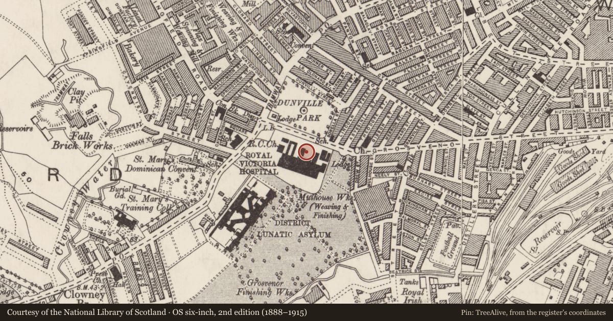 Ordnance Survey six-inch map, 2nd edition (1888–1915) covering the location of Statue of Queen Victoria, Town Parks, Belfast, with a pin at the register's coordinates