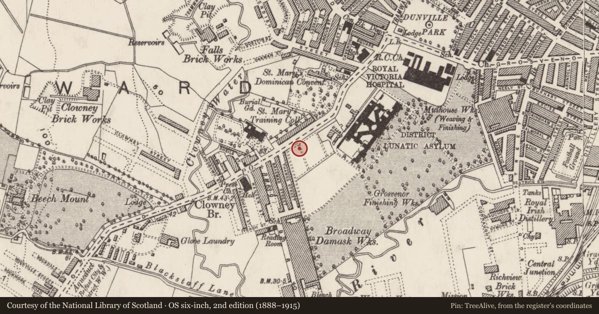 Ordnance Survey six-inch map, 2nd edition (1888–1915) covering the location of Royal Belfast Hospital for Sick Children, Town Parks, with a pin at the register's coordinates