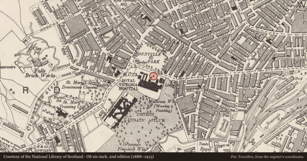 Ordnance Survey six-inch map, 2nd edition (1888–1915) covering the location of Musgrave Wing, East and West Wings, Town Parks, Belfast, with a pin at the register's coordinates