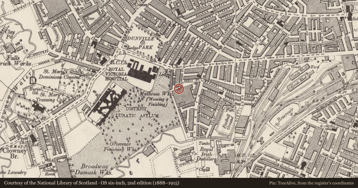 Ordnance Survey six-inch map, 2nd edition (1888–1915) covering the location of Mulhouse Building, Town Parks, Belfast, with a pin at the register's coordinates